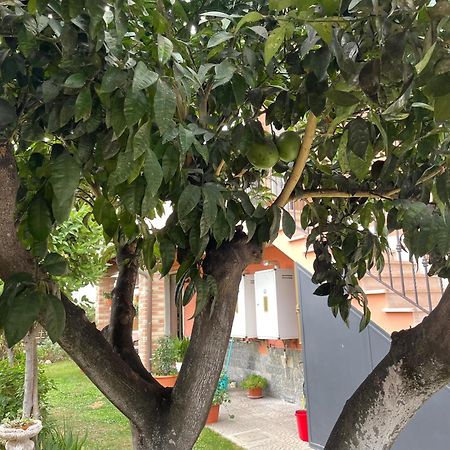 Un Sogno Nel Verde Acilia Eksteriør bilde